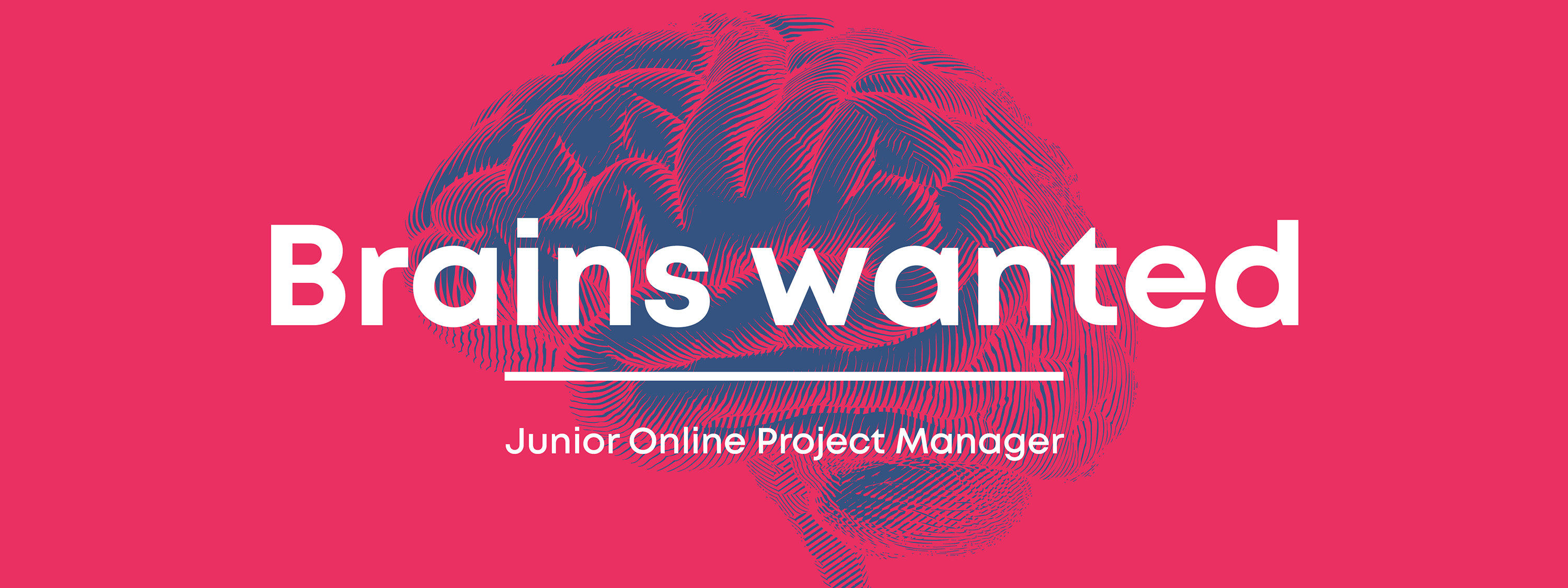 Werbecompany-Junior-Online-PM.jpg