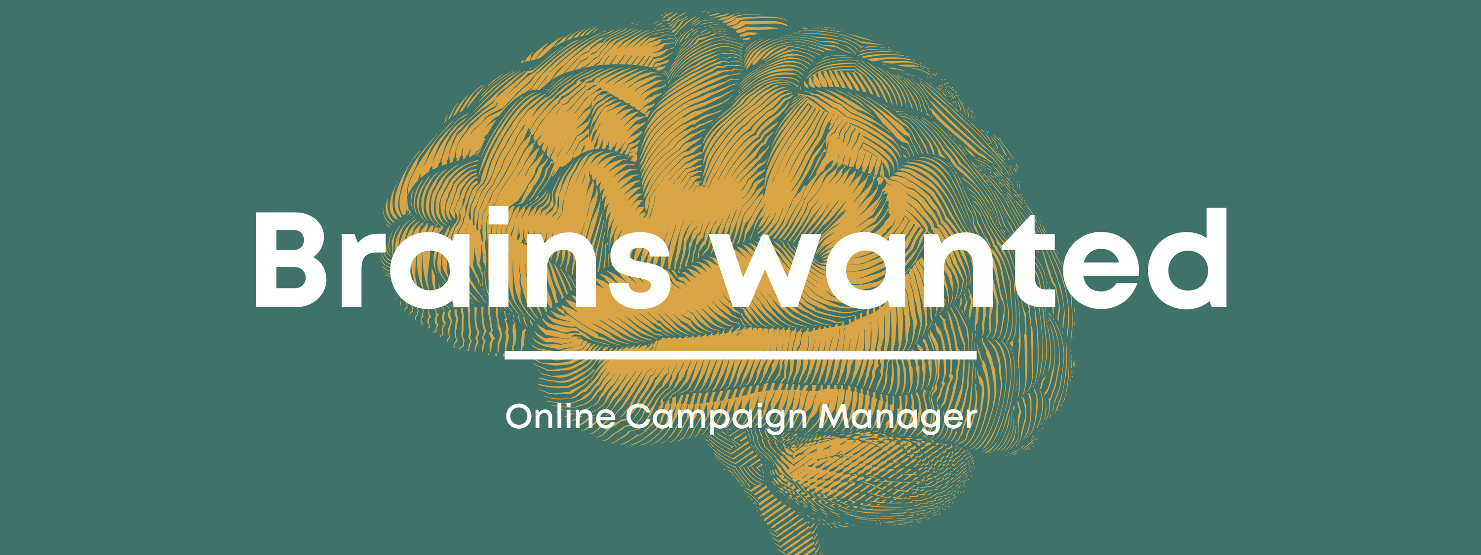 Werbecompany-Online-Kampagnenmanager.jpg