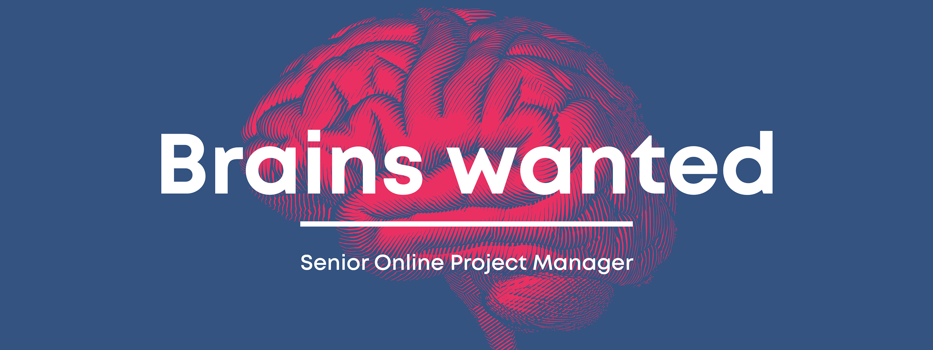Werbecompany-Senior-Online-PM.jpg